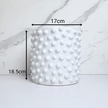 Load image into Gallery viewer, The Leaferie Ostaria white spike flowerpot. ceramic material
