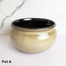 Load image into Gallery viewer, The Leaferie Acacia big pot without drainage holes. ceramic material suitable for fish
