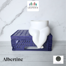 Load image into Gallery viewer, Albertine Flowerpot
