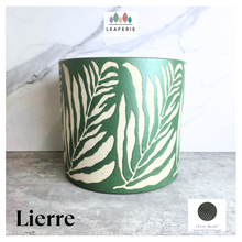 Load image into Gallery viewer, Lierre Green container with leaf pattern on a light gray surface, featuring the brand 'LEAFERIE'.
