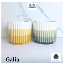 Load image into Gallery viewer, The Leaferie Galia flowerpot . 2 colours yellow and green.
