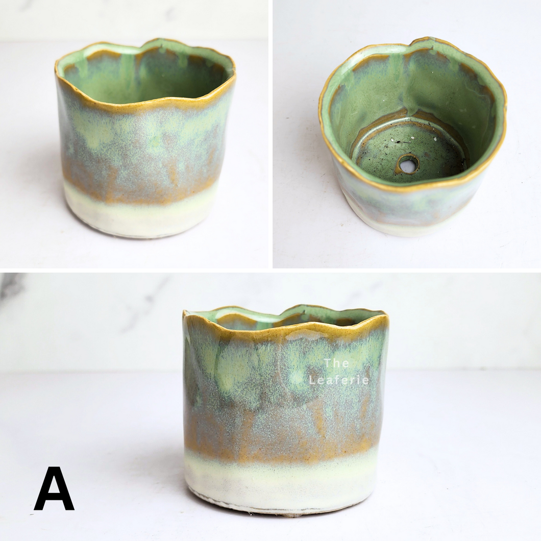 The Leaferie Petit pots series 18. 9 designs ceramic pot for succulents