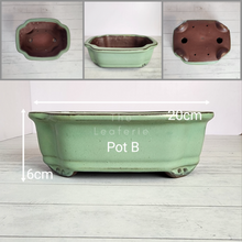 Load image into Gallery viewer, The Leaferie Tally Bonsai pot series 1 . 4 designs .front view o f Pot B

