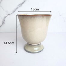 Load image into Gallery viewer, The Leaferie Keave trophy beige ceramic pot
