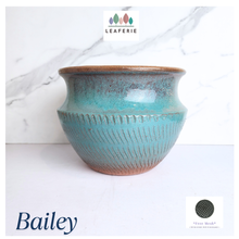 Load image into Gallery viewer, Bailey Flowerpot
