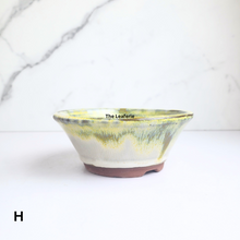 Load image into Gallery viewer, Bonsai Flowerpot (Series 51) 8 colours
