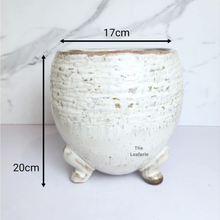 Load image into Gallery viewer, The Leaferie Arnold ceramic pot with legs
