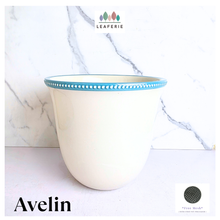 Load image into Gallery viewer, Leaferie Avelin flowerpot. white with blue trim ceramioc pot.
