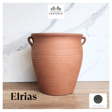 Load image into Gallery viewer, Elrias Terracotta Flowerpot (6 designs)
