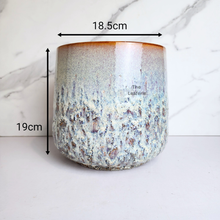 Load image into Gallery viewer, The Leaferie Toro Flowerpot . Ceramic Material
