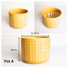 Load image into Gallery viewer, Mini Flowerpots (Series 10) 10cm
