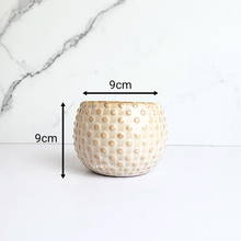 Load image into Gallery viewer, The Leaferie Cedro beige ceramic pot. small planter
