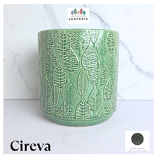 Load image into Gallery viewer, The Leaferie Cireva cermaic green floral pot
