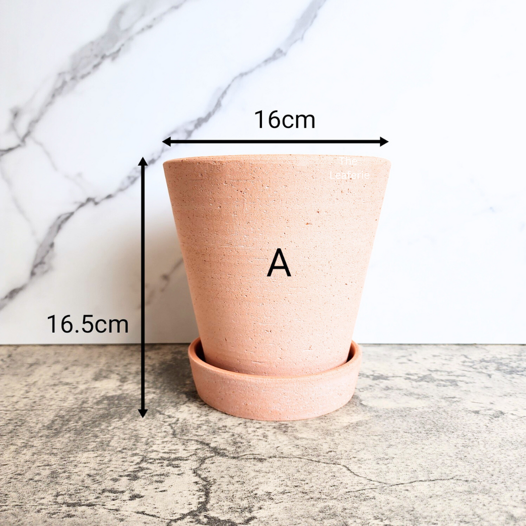 Yael Terracotta Flowerpot (3 sizes)
