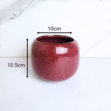 Load image into Gallery viewer, The Leaferie Ellis red ceramic flowerpot.
