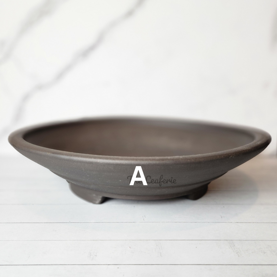 Large Bonsai Tray/ Flowerpot (Series 2) 3 sizes