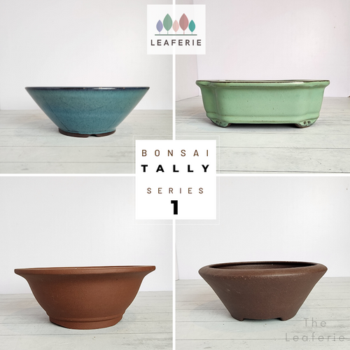 The Leaferie Tally Bonsai pot series 1 . 4 designs .front view of all 4 designs
