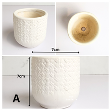 Load image into Gallery viewer, Petit Flowerpots (Series 10)
