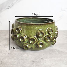 Load image into Gallery viewer, The Leaferie Harper shallow pot. ceramic green colour
