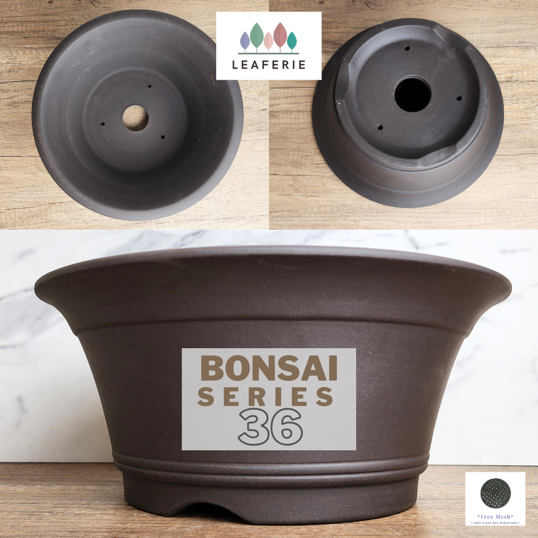 The Leaferie ZIsha Bonsai Pot Series 36. 2 sizes. 