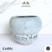 Load image into Gallery viewer, Cedric Flowerpot
