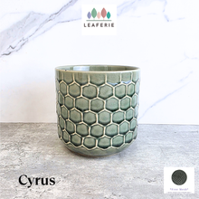 Load image into Gallery viewer, Cyrus Flowerpot
