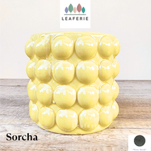 Load image into Gallery viewer, Sorcha Flowerpot
