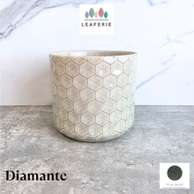 Load image into Gallery viewer, Diamante Flowerpot
