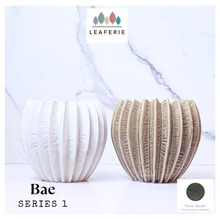 Load image into Gallery viewer, Bae Flowerpot (Series 1)
