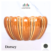 Load image into Gallery viewer, Dorsey Long Flowerpot (2 designs)
