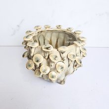 Load image into Gallery viewer, The Leaferie Handmade Moti Flowerpot. ceramic material
