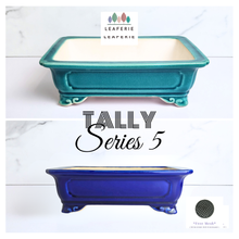 Load image into Gallery viewer, Bonsai Tally (Series 5) Rectangular Flowerpot
