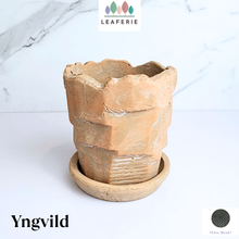 Load image into Gallery viewer, Yngvild Terracotta Flowerpot with tray
