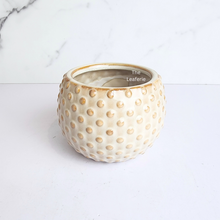 Load image into Gallery viewer, The Leaferie Cedro beige ceramic pot. small planter
