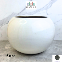 Load image into Gallery viewer, Aura Big Flowerpot
