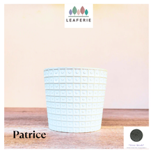 Load image into Gallery viewer, Patrice Flowerpot
