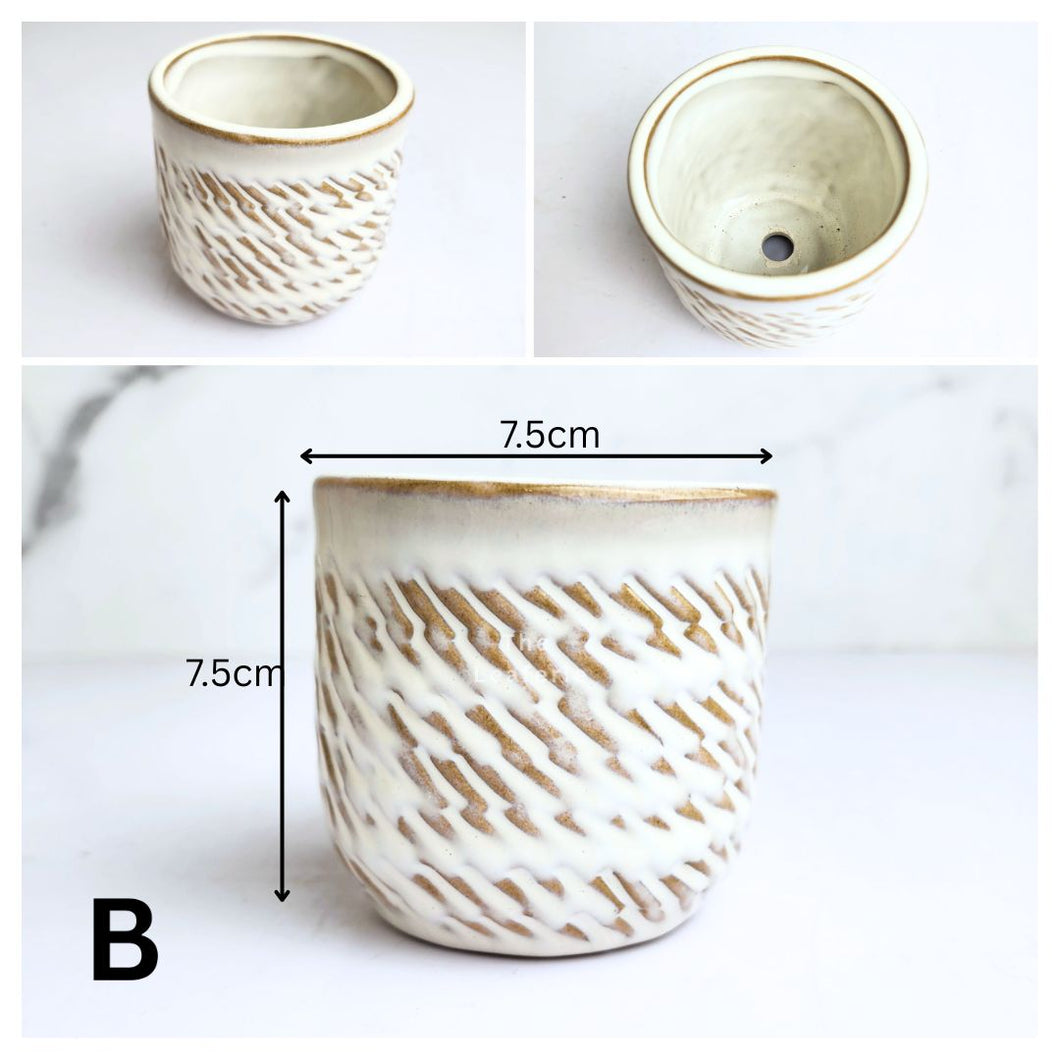 Petit Flowerpots (Series 18)