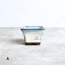 Load image into Gallery viewer, Ceramic bonsai pot with speckled blue rim on a light gray surface, branded &#39;The Leaferie&#39;.
