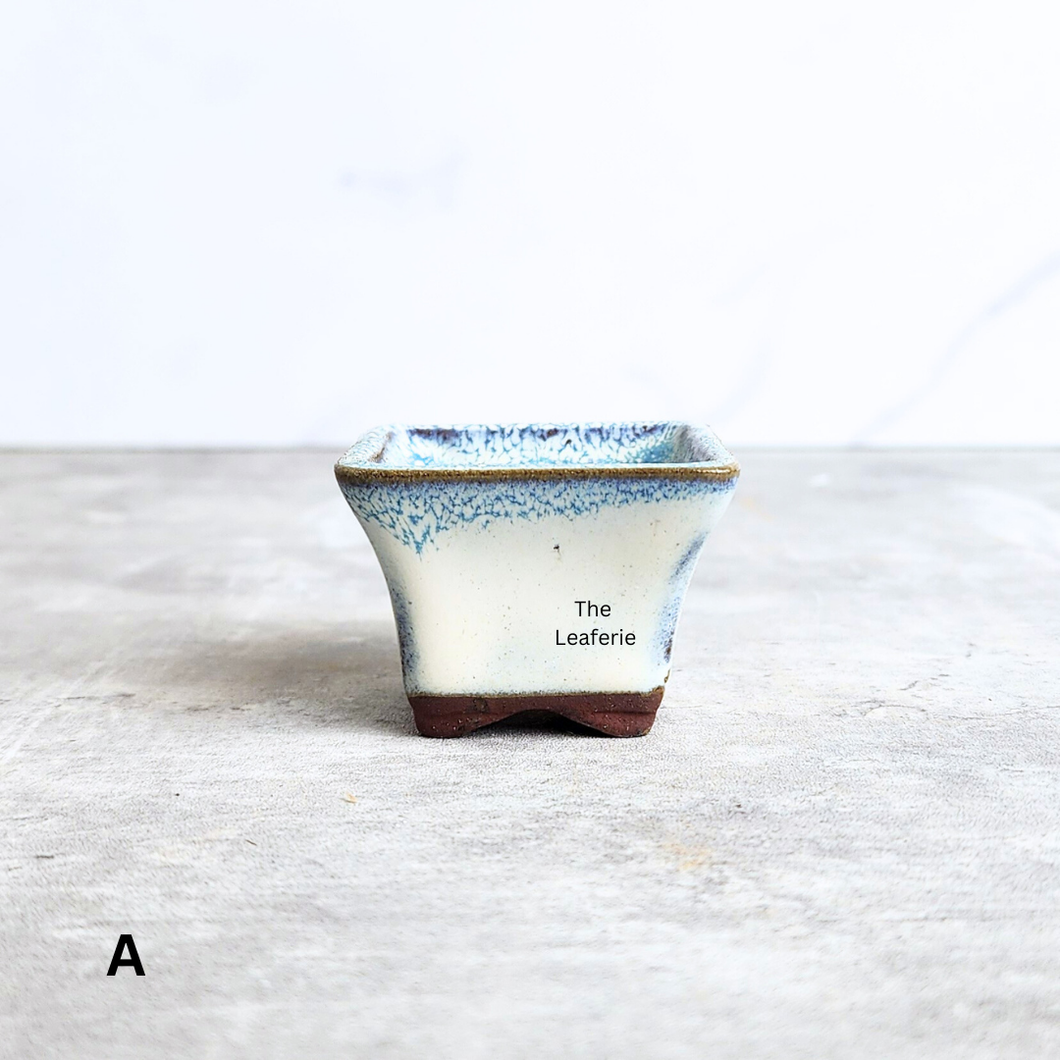 Ceramic bonsai pot with speckled blue rim on a light gray surface, branded 'The Leaferie'.