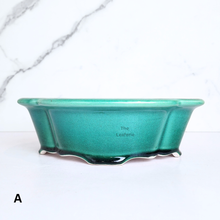 Load image into Gallery viewer, The Leaferie Bonsai pot Series 65. ceramic pot 2 colours
