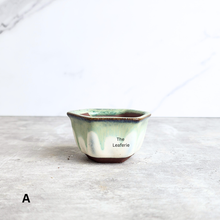 Load image into Gallery viewer, The Leaferie Bonsai 79. Hexagon shape 4 colours ceramic pot
