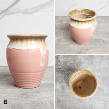 Load image into Gallery viewer, The Leaferie Petit Allegra Series 3 . 5 designs Pink pots
