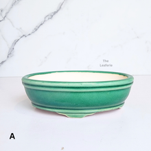 Load image into Gallery viewer, The Leaferie Bonsai series 63 Oval bonsai pot. ceramic material. green, blue and white colour
