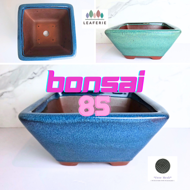 Leaferie Bonsai series 85  ceramic bonsai pots with 'LEAFERIE' branding and 'bonsai 85' text.