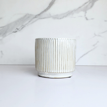 Load image into Gallery viewer, The Leaferie Deidara white flowerpot with tray. ceramic material
