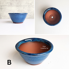 Load image into Gallery viewer, The Leaferie Petit Bonsai series 13 . 3 designs. blue theme bonsai pots. ceramic planter. photo of design B
