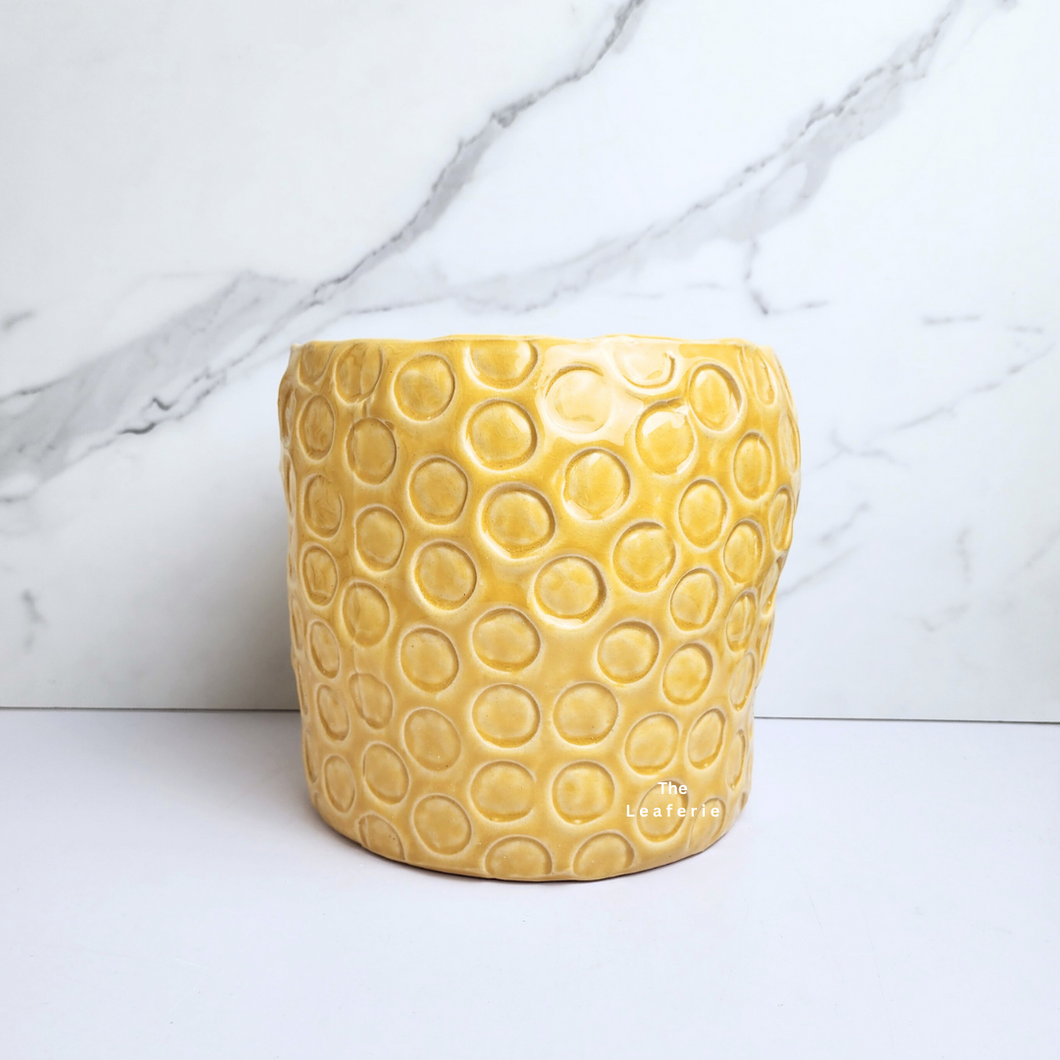 The Leaferie Puro yellow bee hive ceramic pot. 2 sizes