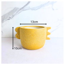 Load image into Gallery viewer, Axel Flowerpot
