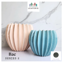 Load image into Gallery viewer, Bae Flowerpot (Series 2)
