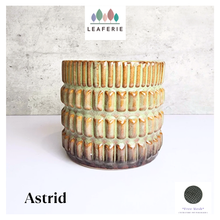 Load image into Gallery viewer, Astrid Flowerpot
